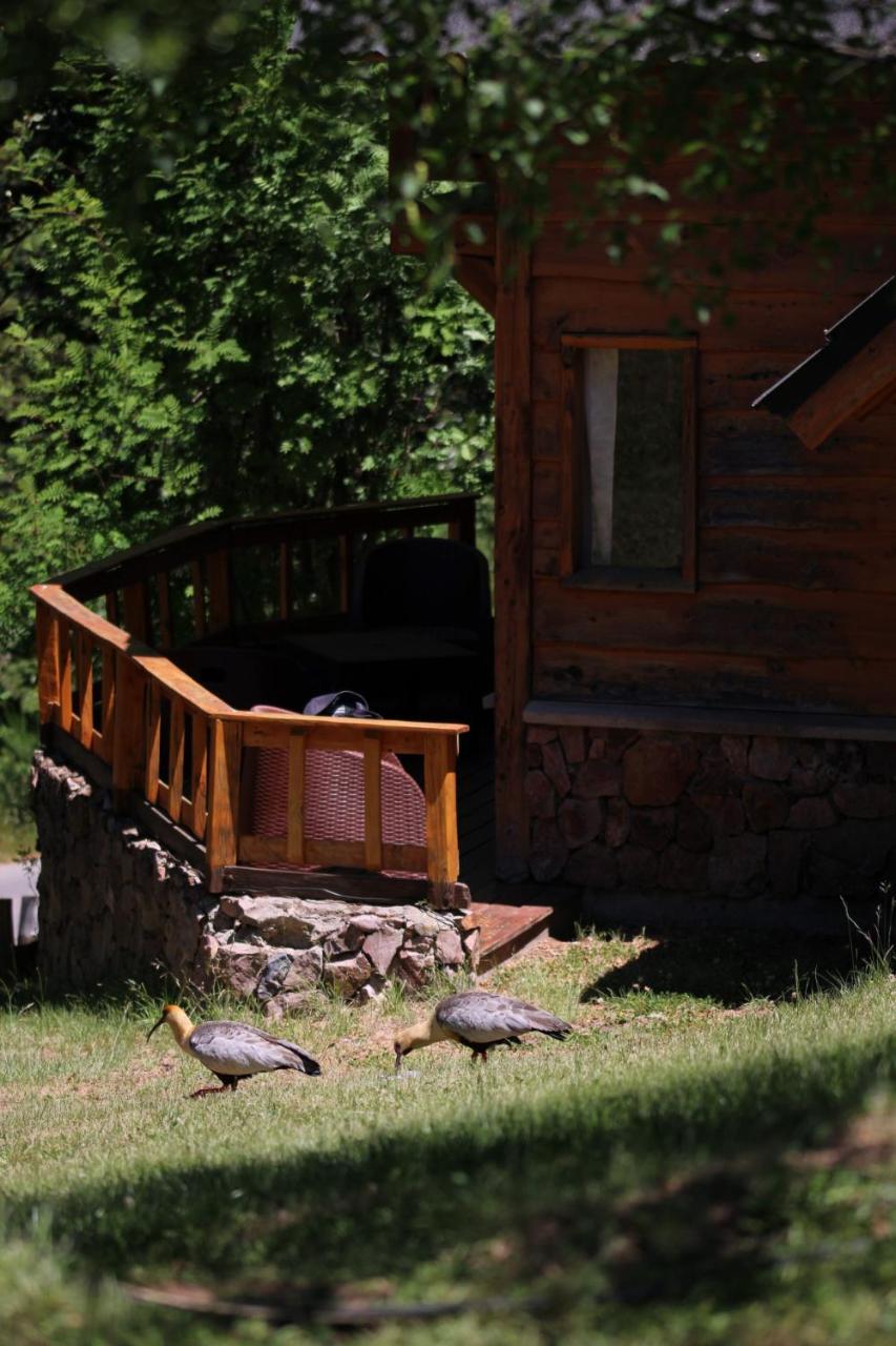 Cocos Cura Casas De Montana Βίλα Σαν Κάρλος ντε Μπαριλότσε Εξωτερικό φωτογραφία